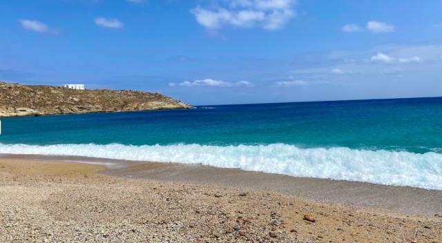 Lia Beach