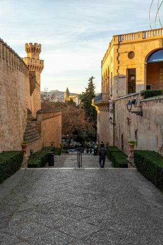 Llotja de Palma