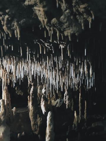 Coves de Gènova