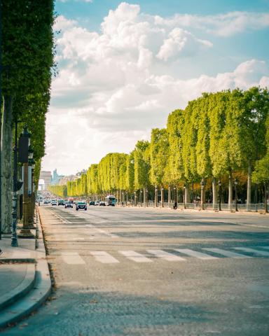 Champs-Elysées