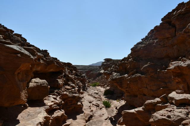 Jacob's Canyon