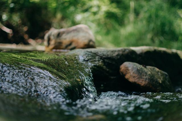 Seven Springs Waterfall
