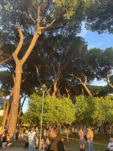 Giardino degli Aranci