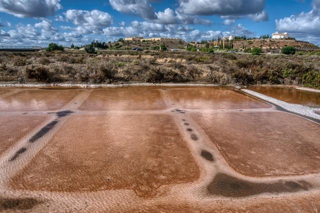 Castro Marim and Vila Real de Santo António Marsh Natural Reser