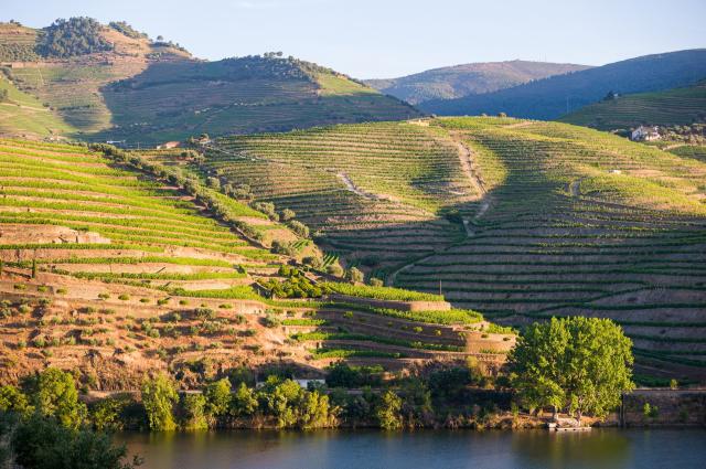 Douro Valley - Casa Vale do Douro