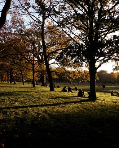 Saint James's Park Lake