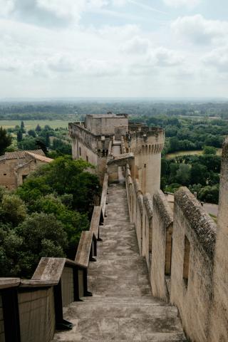 Papežský palác v Avignonu