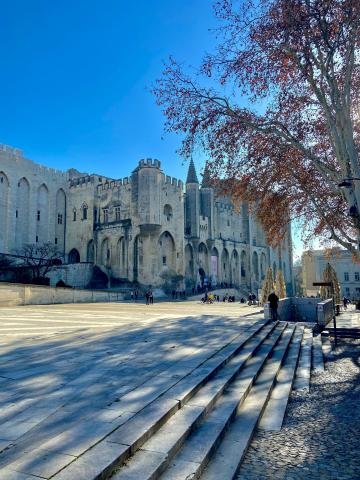 Papežský palác v Avignonu
