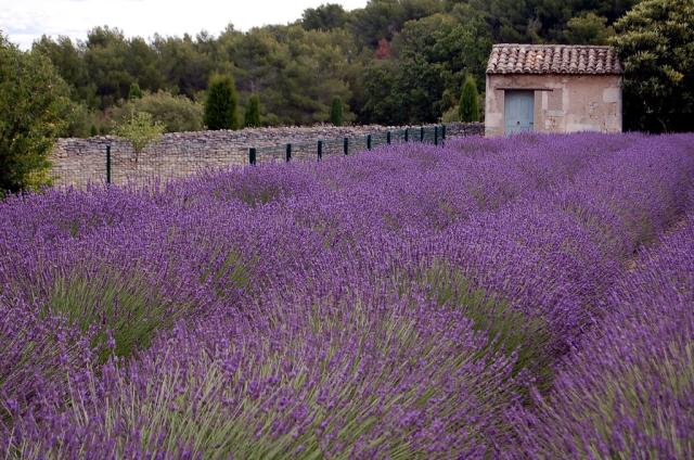 Saint-Rémy-de-Provence