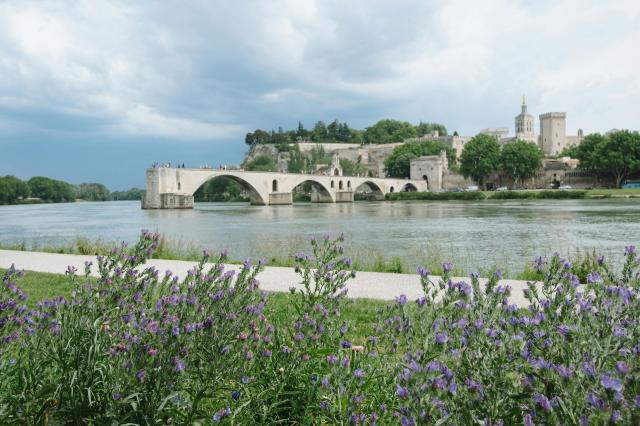 Avignonský most