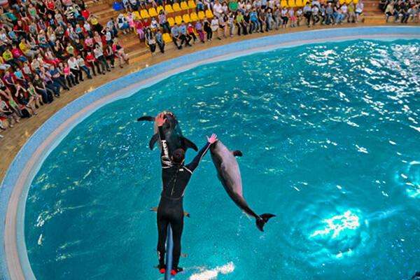 Istanbul Dolphinarium
