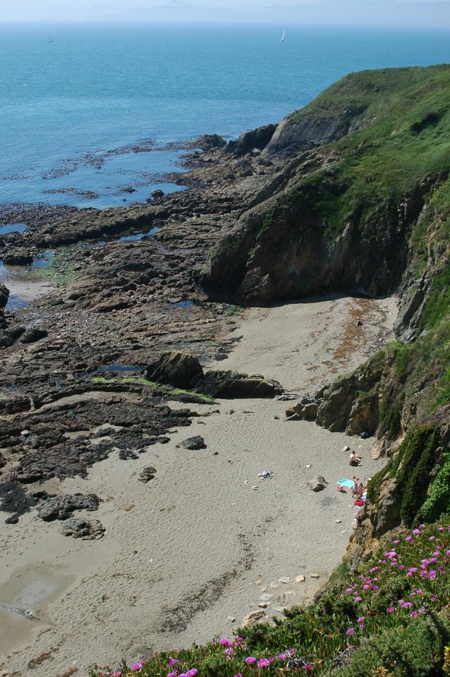 Howth Cliff Walk (Green Route)