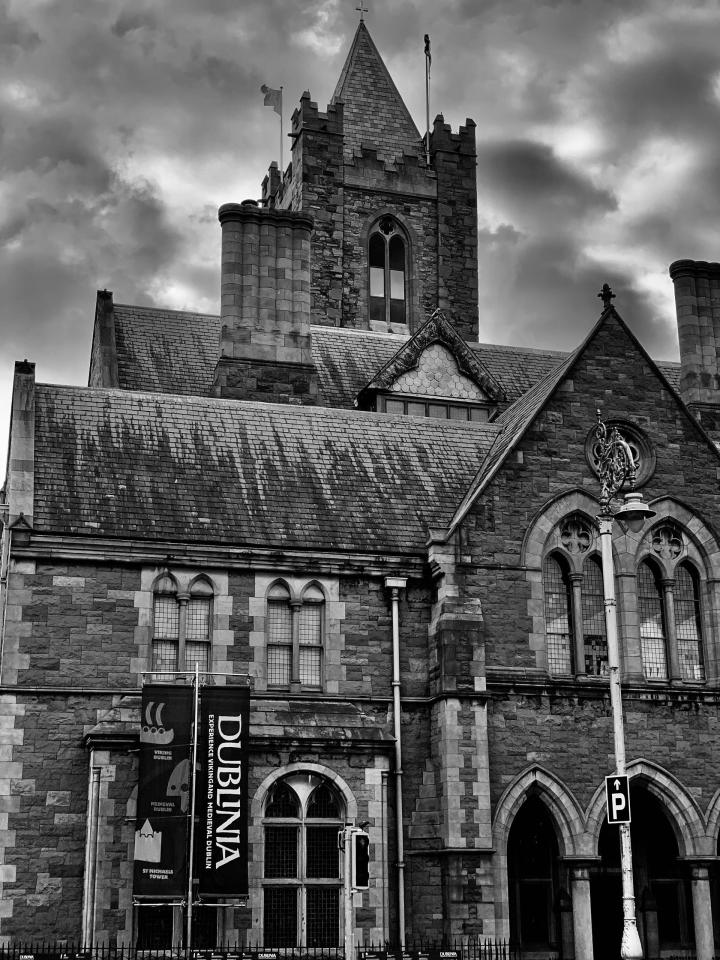 Dublinia