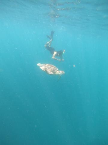 Sandbank