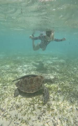 Sandbank