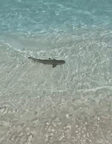 Maafushi
