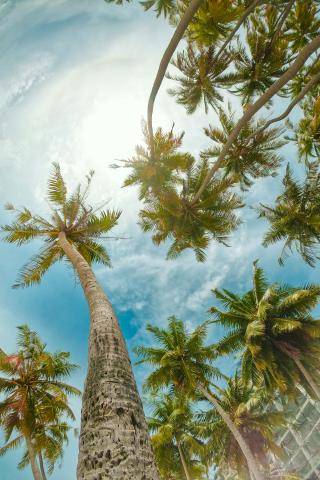 Maafushi