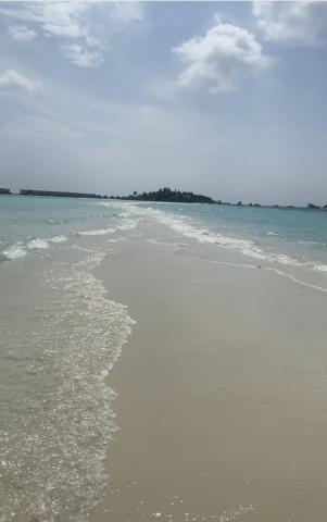 Sandbank