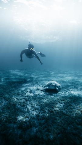 Sandbank