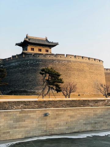 Suwon