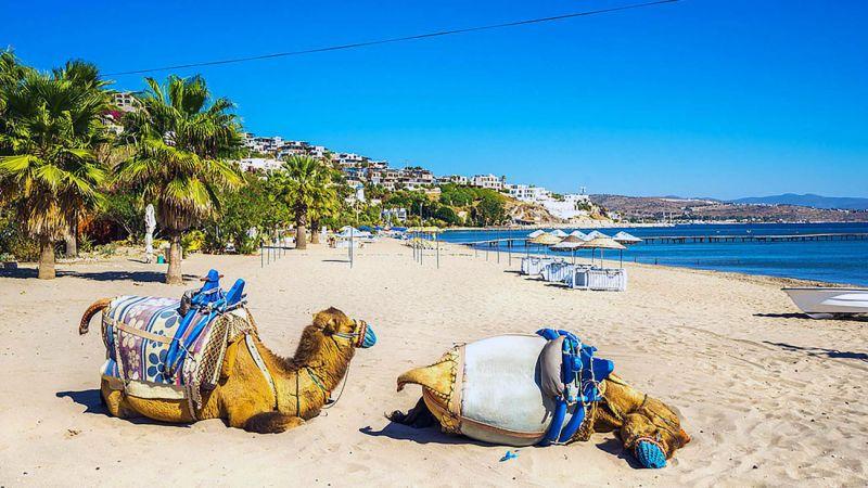 Bodrum : Dovolená s dětmi plná smíchu