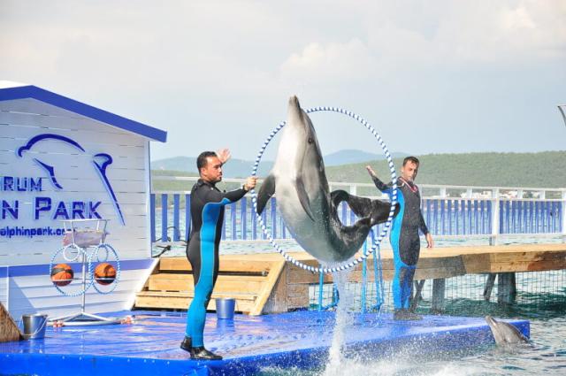 Bodrum Dolphin Park - Yunus Gösteri Merkezi
