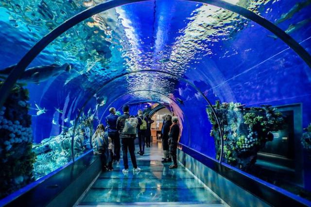 Antalya Aquarium