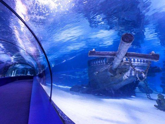 Antalya Aquarium