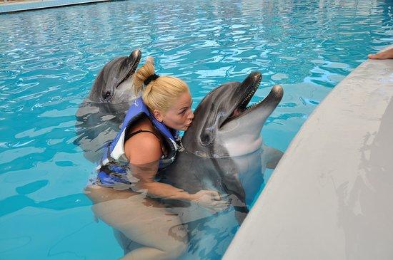 Aksu Dolphinarium