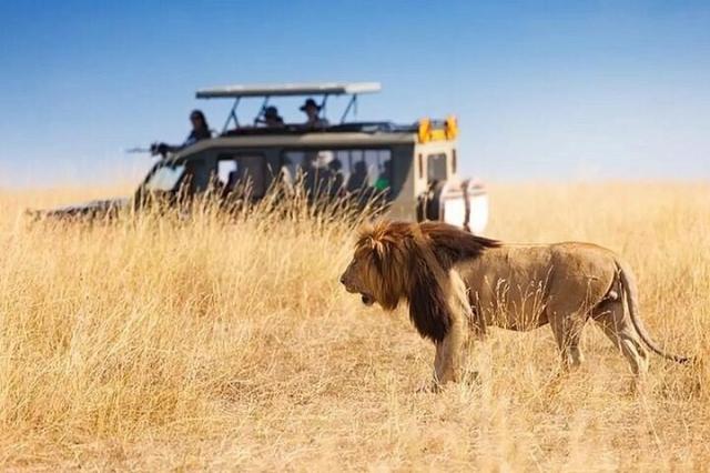 Aslan Safari Antalya (Lion Safari)