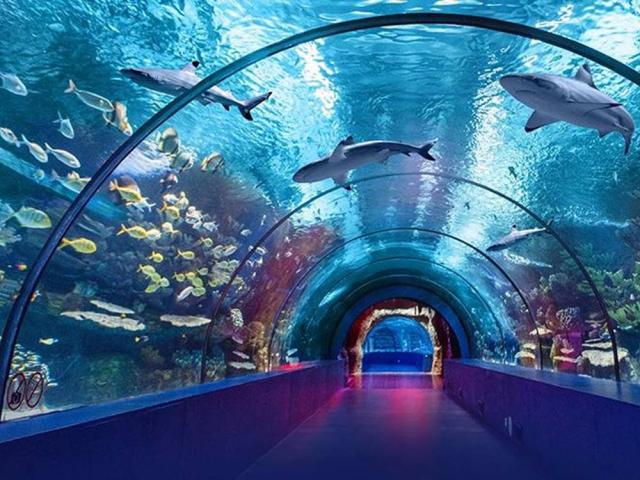 Antalya Aquarium