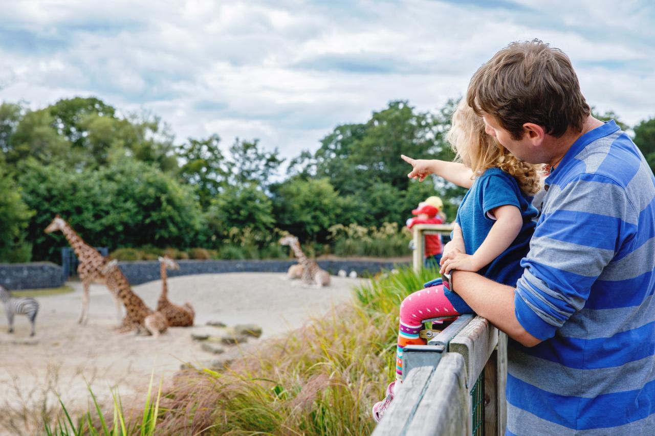 Dublin Zoo