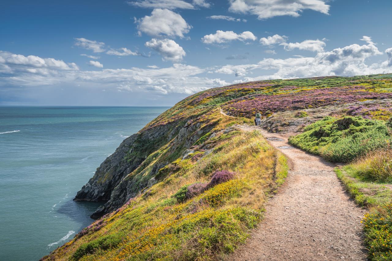 Howth Cliff Walk (Green Route)