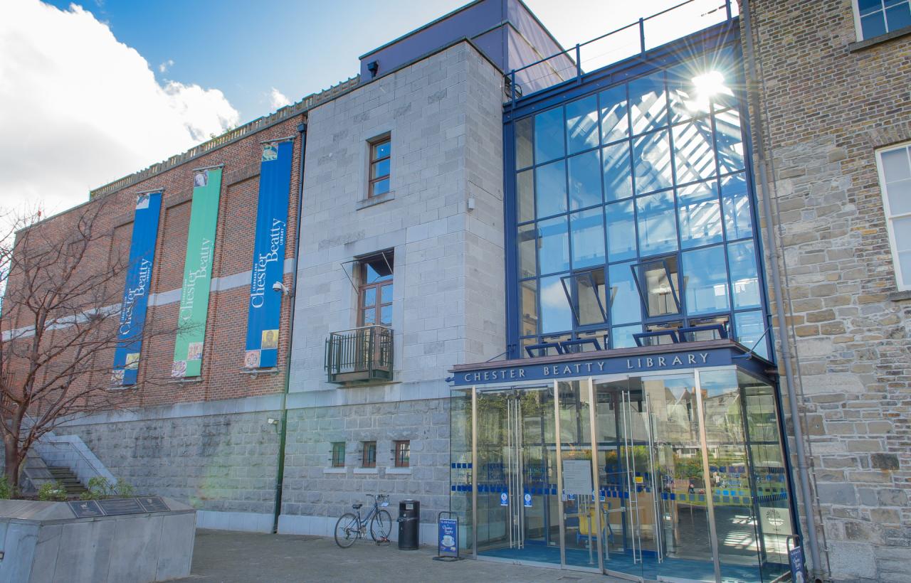 National Leprechaun Museum of Ireland