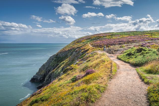Howth Cliff Walk (Green Route)