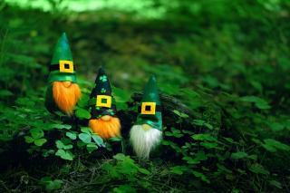 Dublin Adventures: A Family-Friendly Escape
