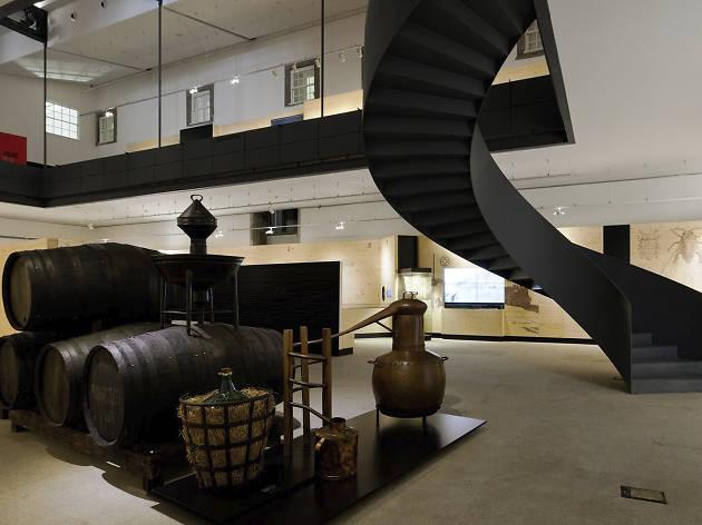 Douro Museum