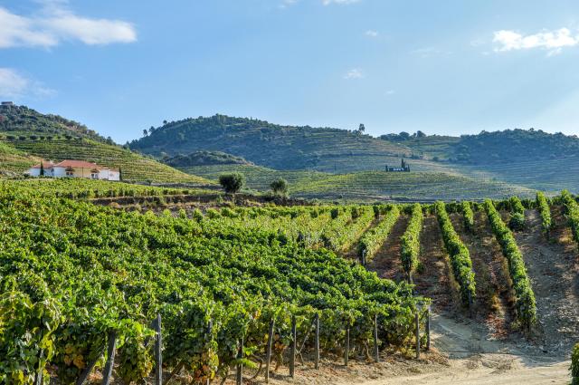 Quinta do Bomfim
