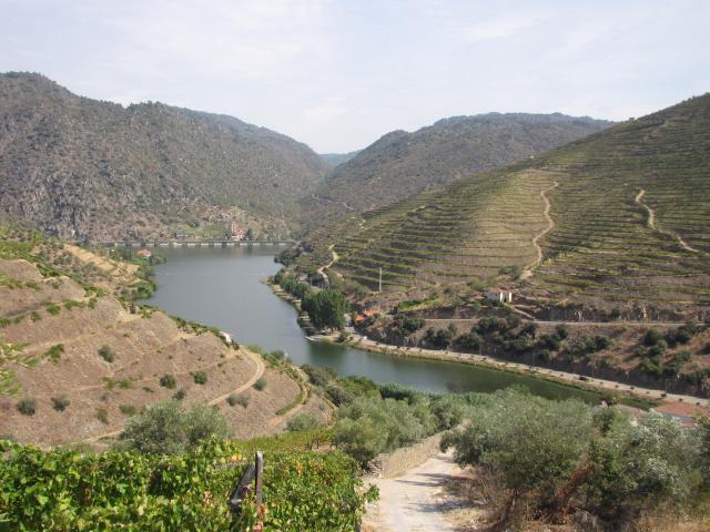Quinta do Cachão