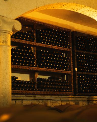 Bairrada Wine Museum
