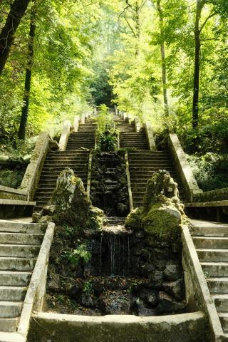 Buçaco National Forest