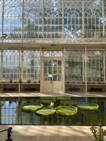 Jardim Botânico da Universidade de Coimbra