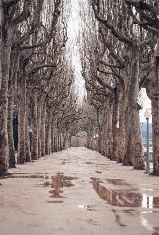 Parque da Cidade Manuel Braga