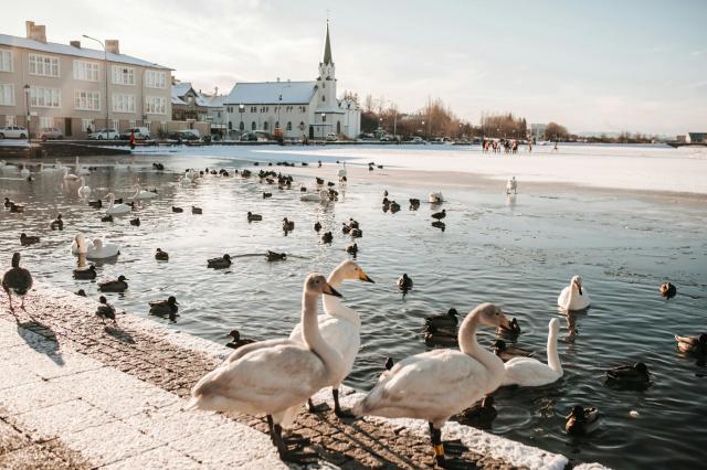 Reykjavík