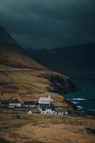 Viðareiði