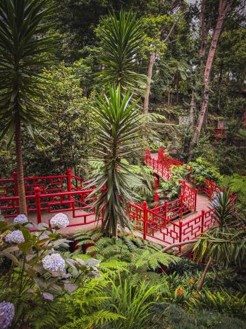 Monte Palace Tropical Garden