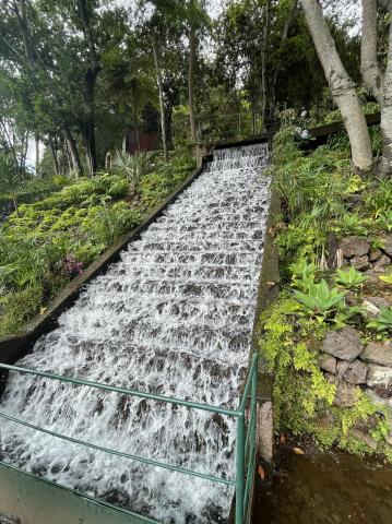 Monte Palace Tropical Garden