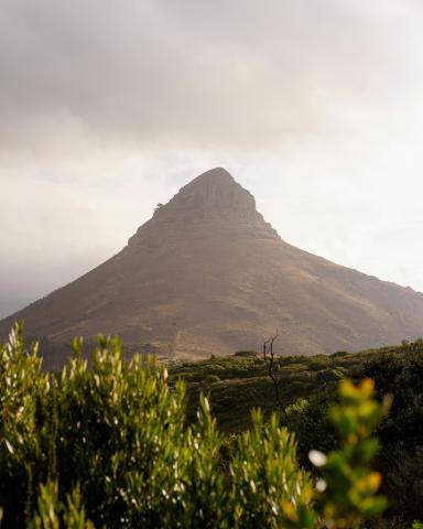 Signal Hill