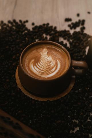 Truth Coffee Roasting