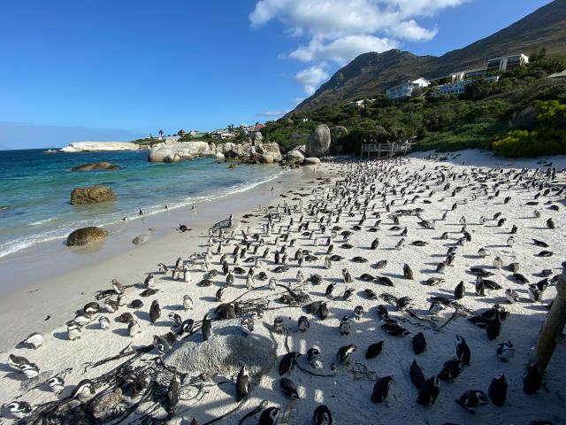 Simon's Town